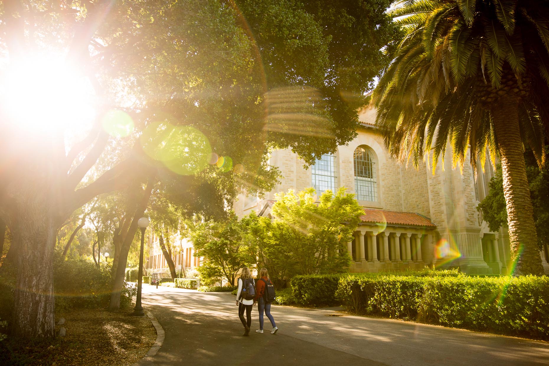 College campus beauty at Stanford University. John Davis is an education marketing photographer.