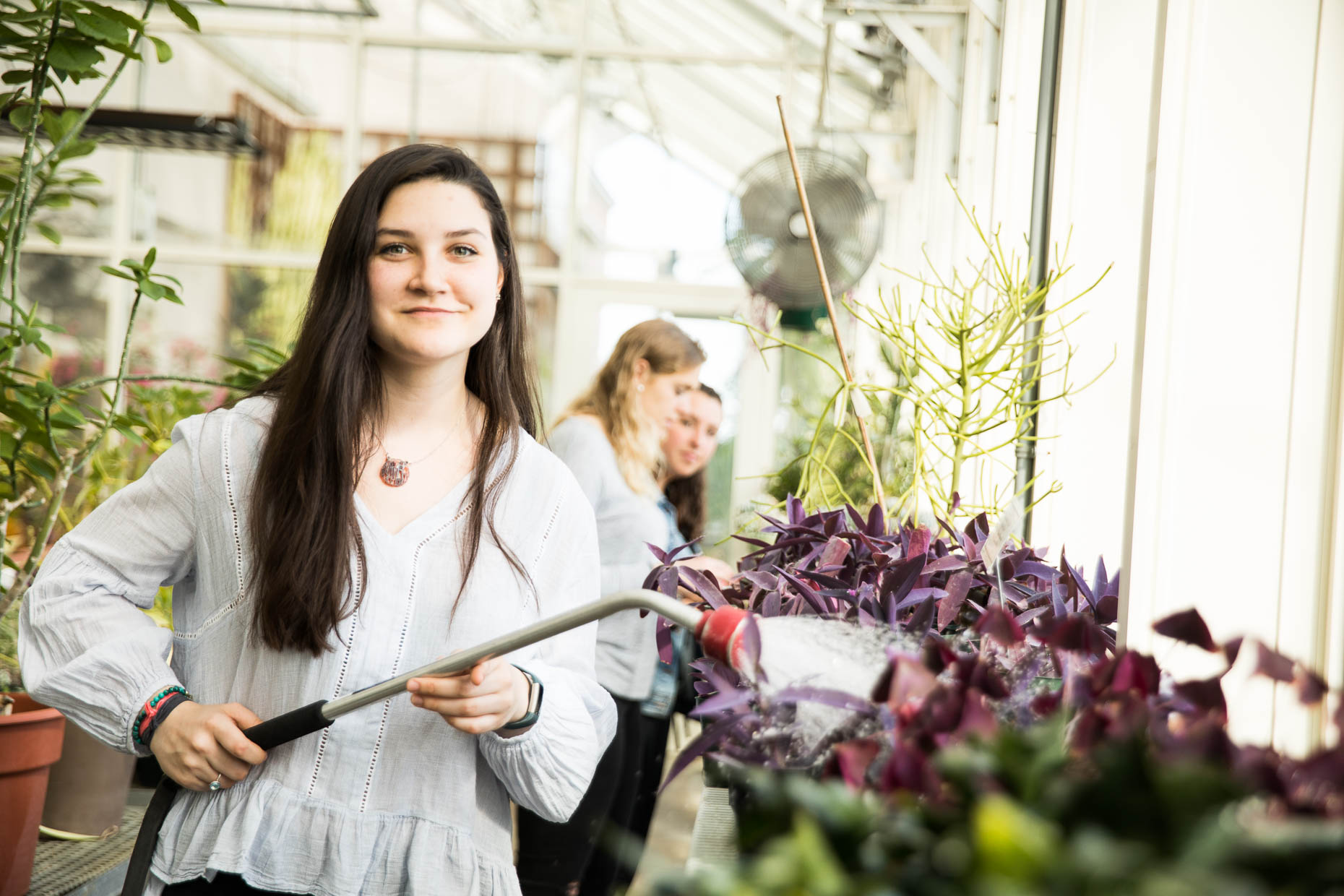 College student in a greenhouse watering plants.