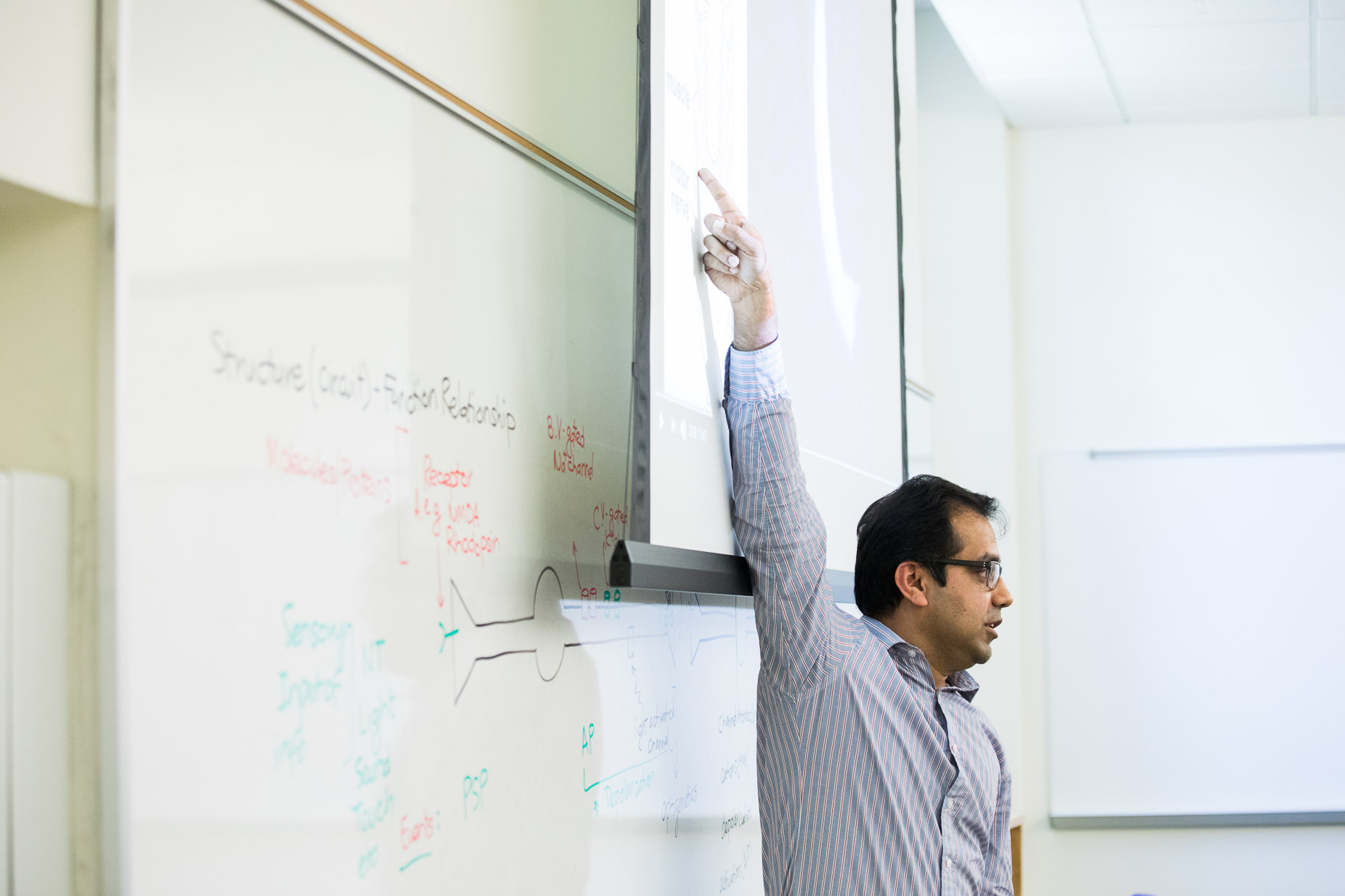 Professor in class pointing at white board.